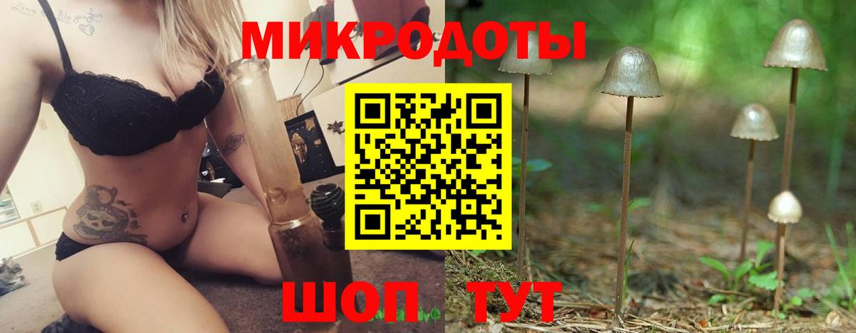 Псилоцибиновые грибы MAGIC MUSHROOMS  Вход с VPN  Мончегорск 