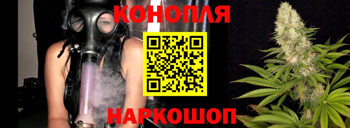 Конопля планчик Мончегорск